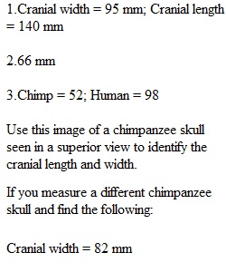 3.17 Lab Exercise